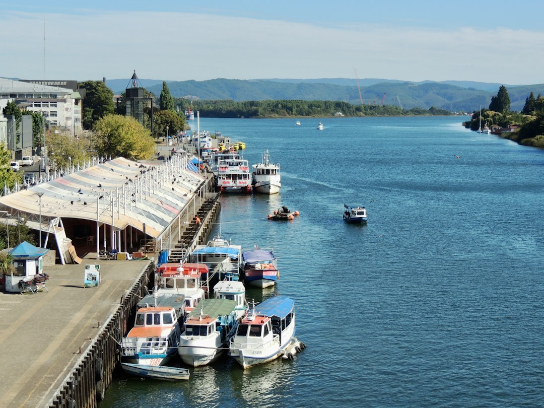 valdivia river market chile