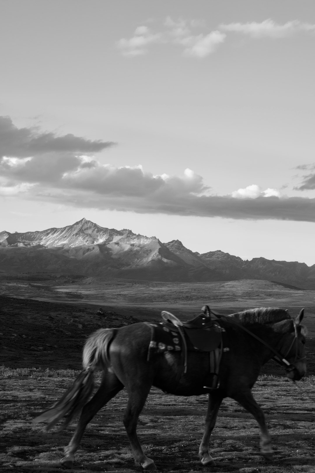 patagonia gaucho on horse
